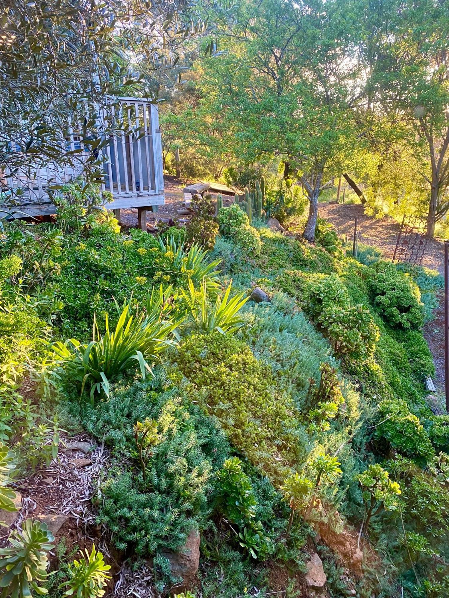 Sutton Spring Art Retreats Lejlighed Daylesford Værelse billede