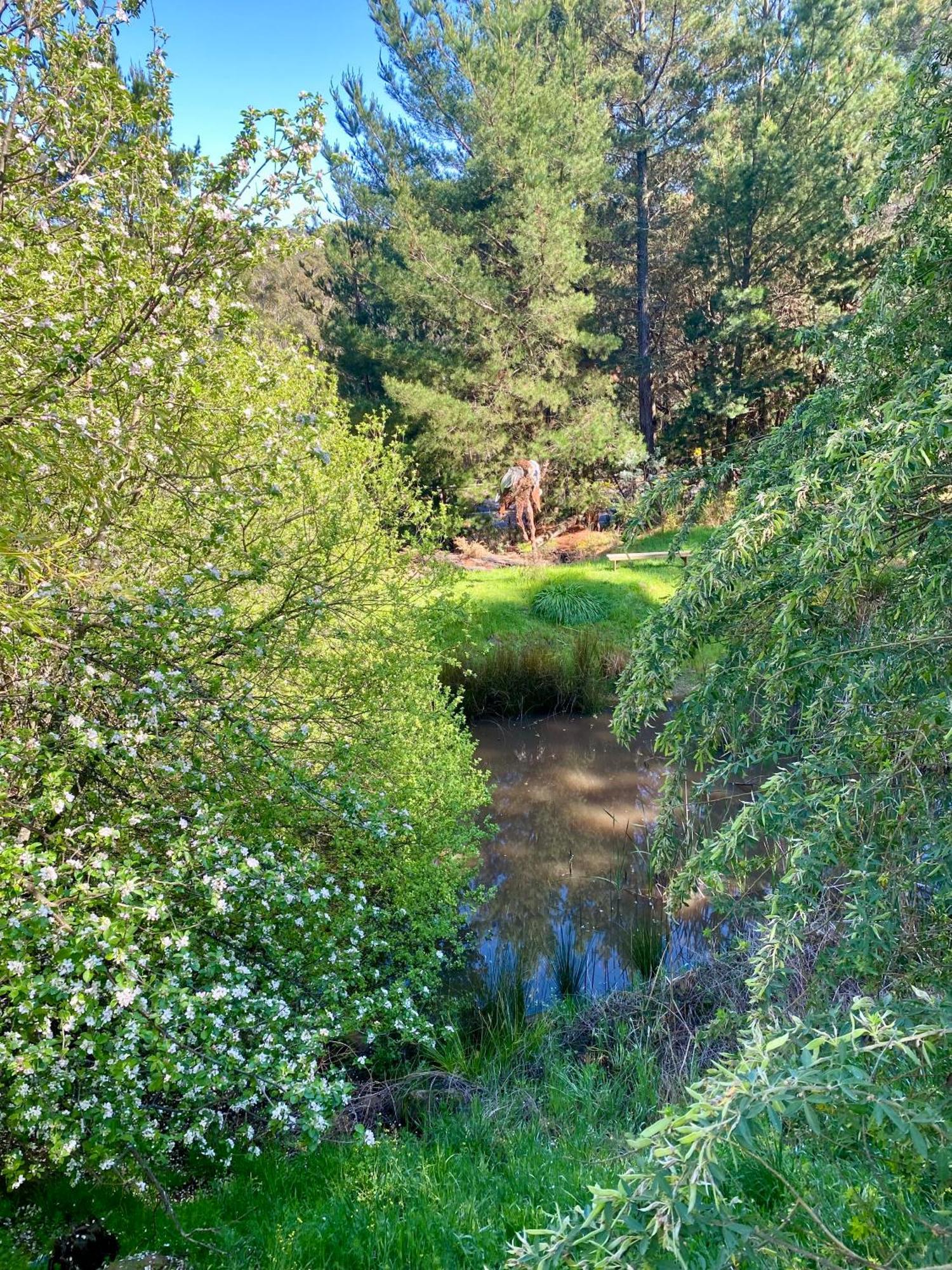 Sutton Spring Art Retreats Lejlighed Daylesford Værelse billede