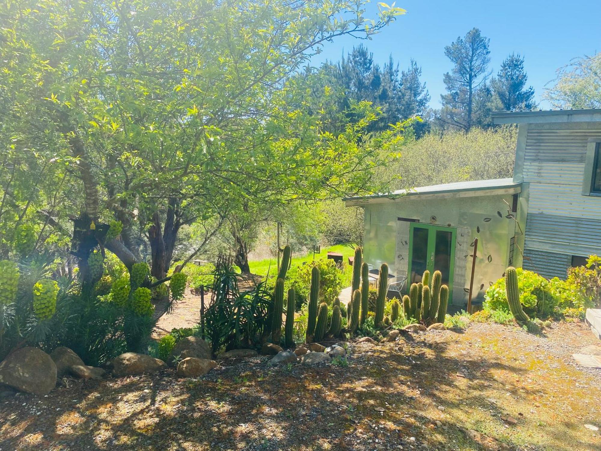 Sutton Spring Art Retreats Lejlighed Daylesford Værelse billede