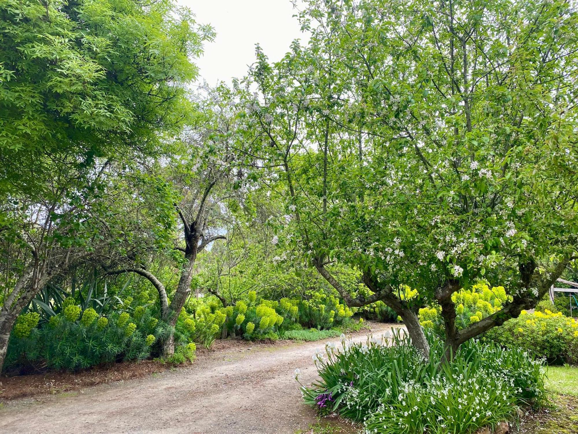 Sutton Spring Art Retreats Lejlighed Daylesford Værelse billede