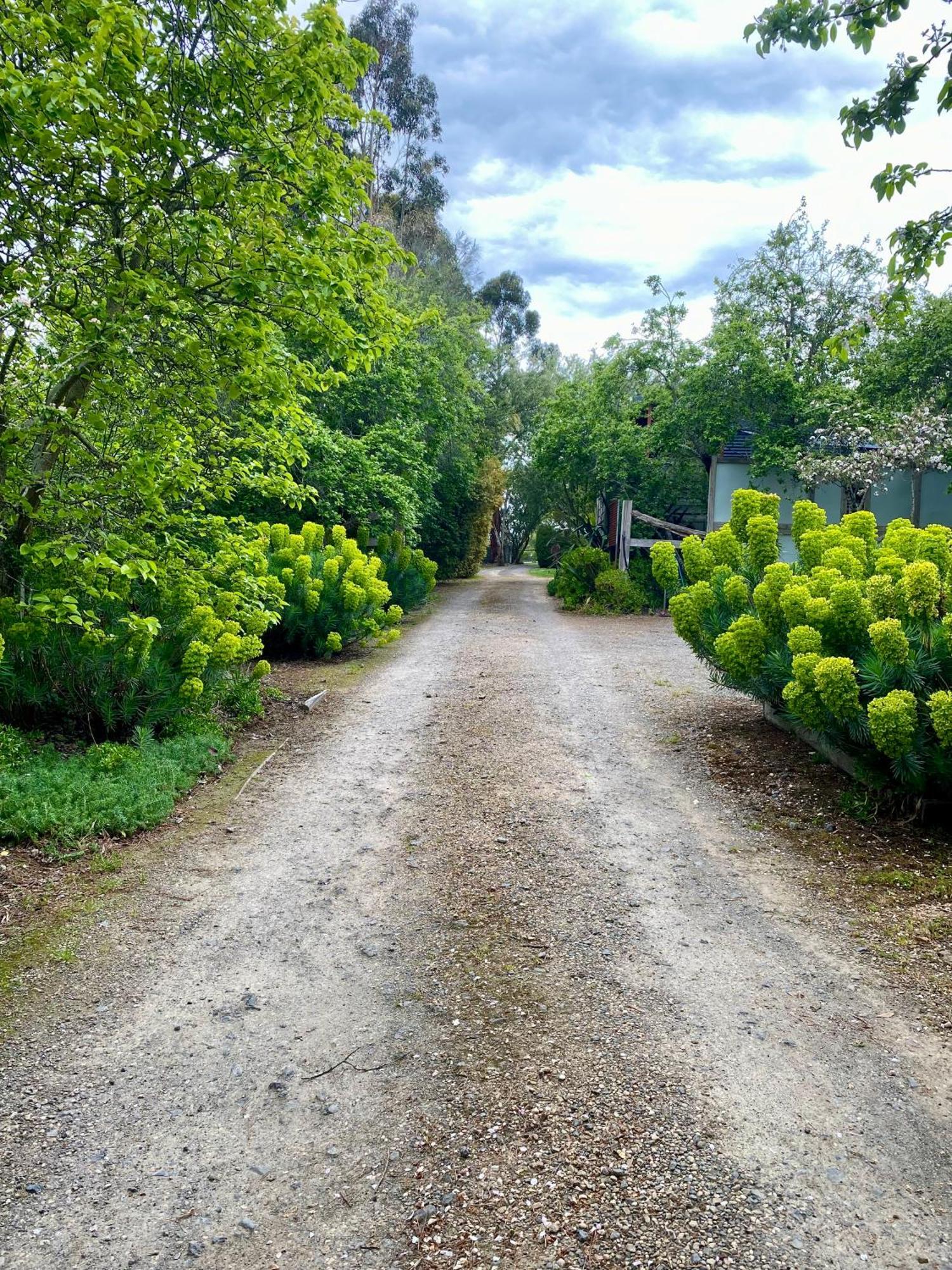 Sutton Spring Art Retreats Lejlighed Daylesford Eksteriør billede