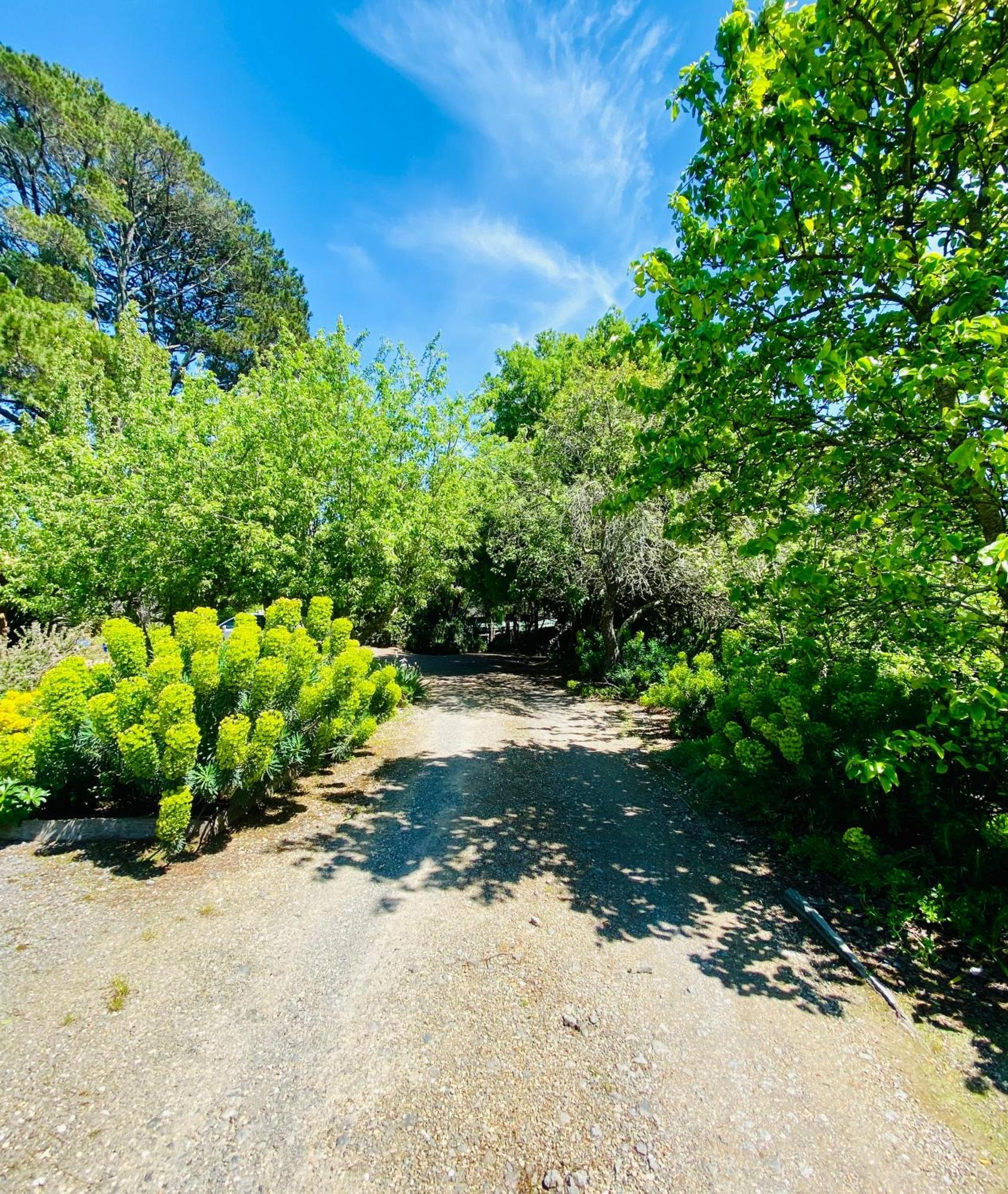 Sutton Spring Art Retreats Lejlighed Daylesford Eksteriør billede